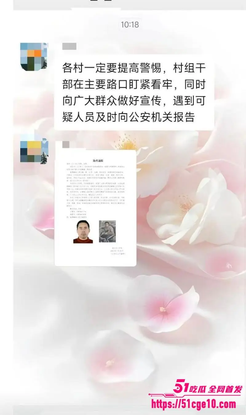 河南西平县命案成功破获 耗时9天9夜嫌疑人落网 警方不懈努力终得成果 图2