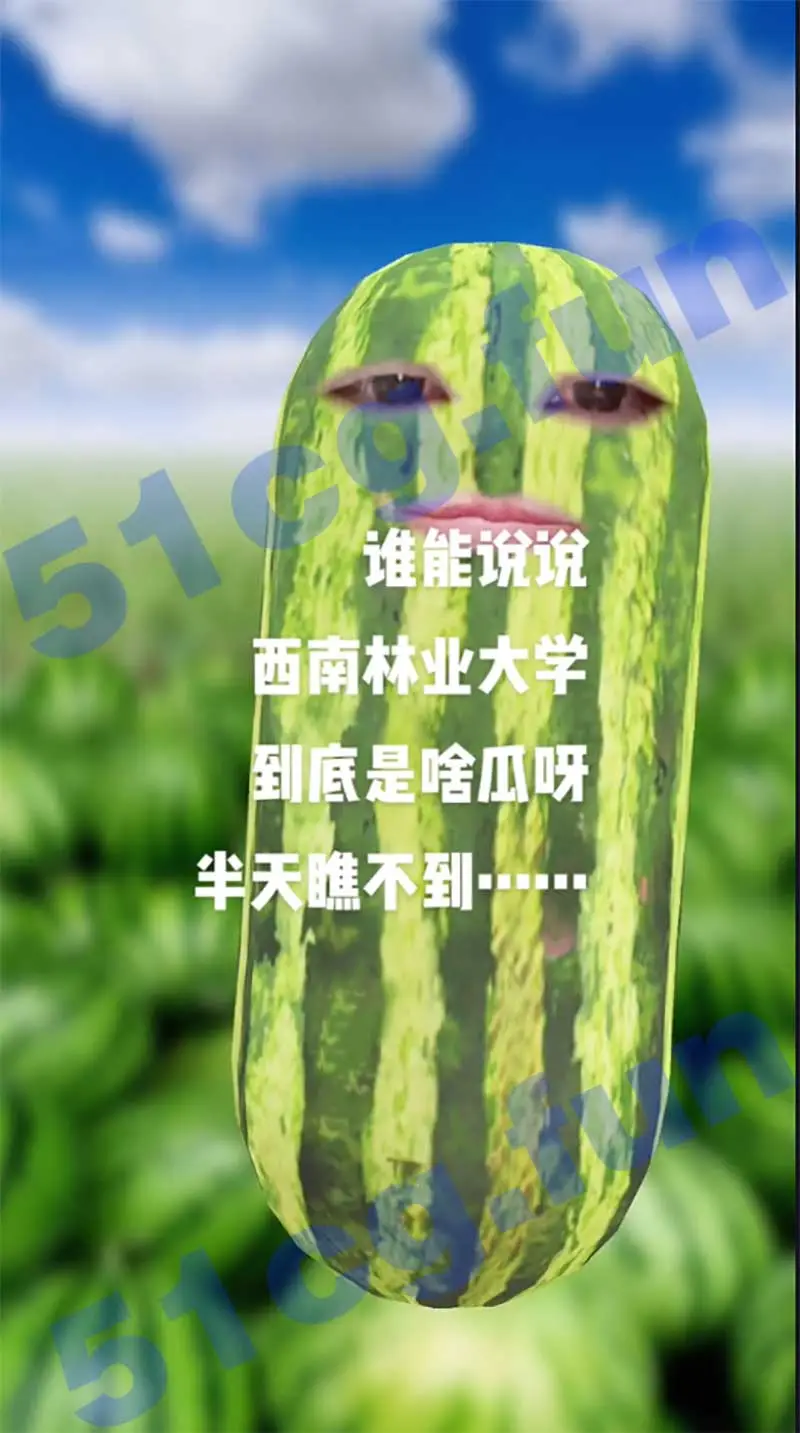 火爆热瓜!西南林业大学的瓜,小树林情侣,八块腹肌? 图1