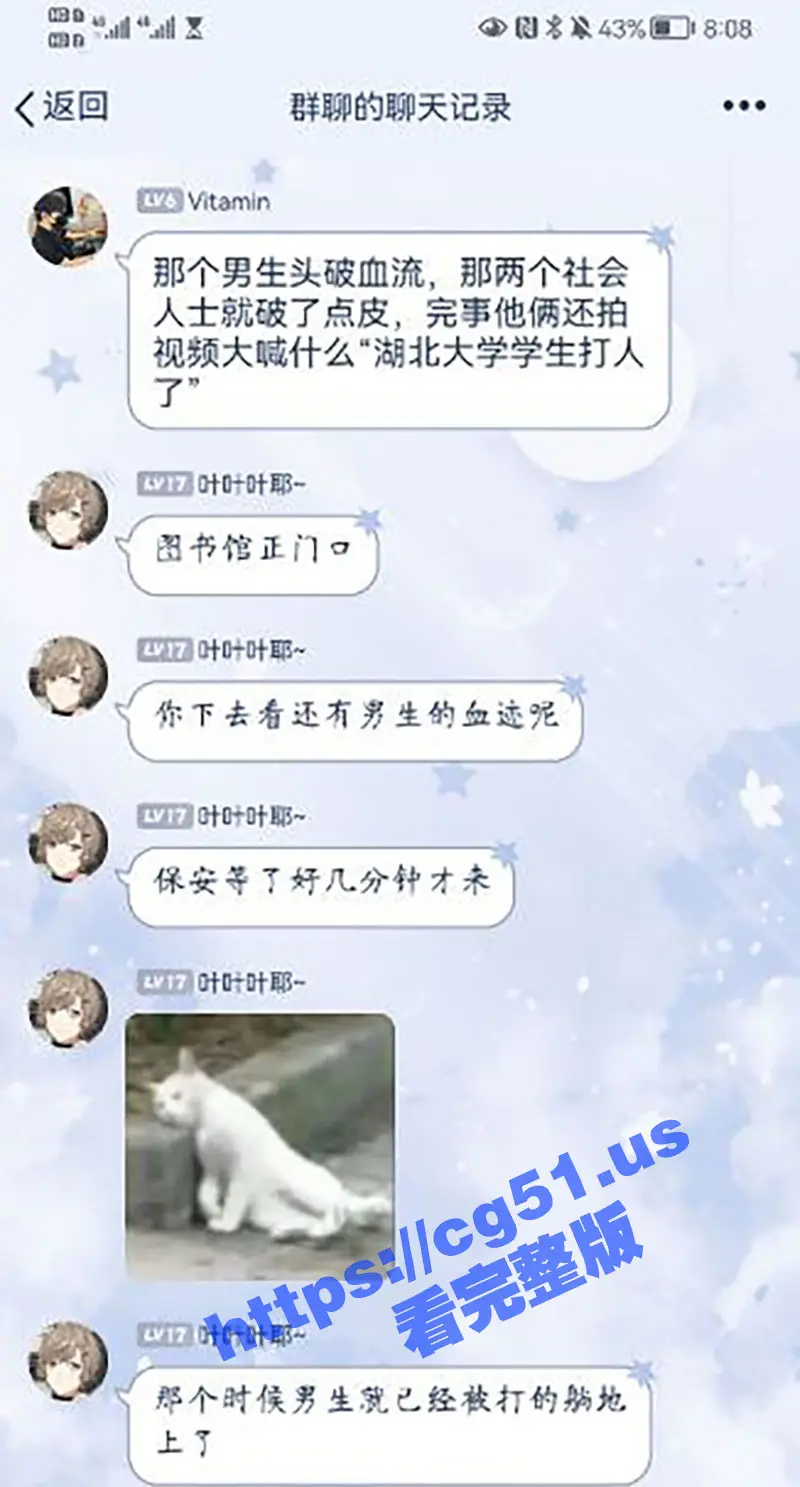湖北大学校园打架斗殴事件 大学校园MMA！女大生不满被盯着看 男友挺身而出保护女友1V2 不敌慘流血暈倒 图1