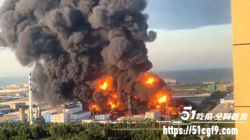 山东青岛黄岛区火灾 物流园物资猛烧 黑烟遮天火光冲天 远处高压线塔清晰可见 图4