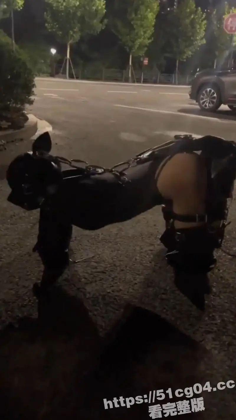 实拍顶级母狗 被主人绑成人型犬 夜晚被主人牵着户外遛狗 母狗身材不错 中国人都玩这么花花了么 图4