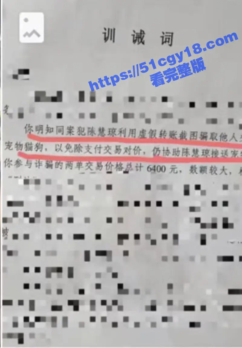 快手网红 陈慧颖 偷吃做小三的热瓜 各种黑料被扒出 图片证据聊天记录加视频 坐实了绿茶婊的人设! 图8