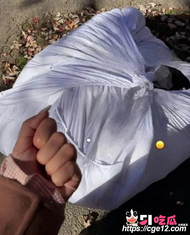 上海复旦教授 王龙 网上选妃约炮立人设 被实锤曝光 事后威胁女方吓到尿失禁! 图24