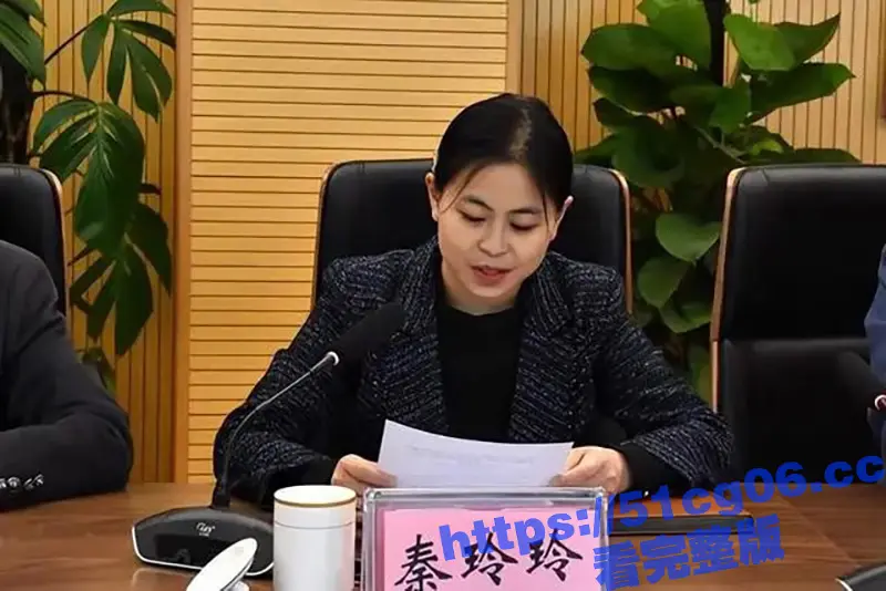 美女副县长秦玲玲 为升官沦为高官玩物 长相甜美升得急跌得快 只有中学学历却上位神速 图3