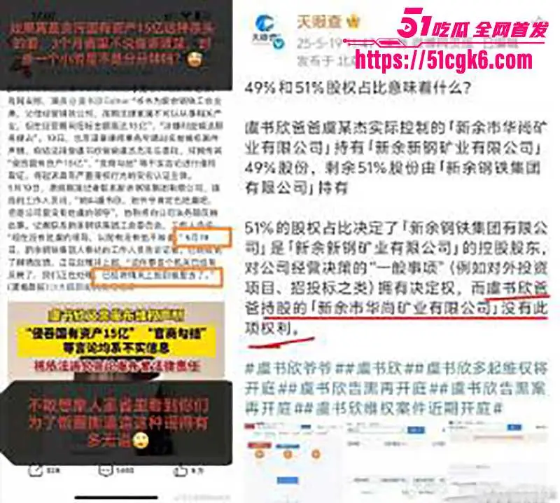 当红小花 虞书欣 家族企业黑料被扒 200万公司控股34亿国企49%股份 空手套白狼狂赚15亿! 图19