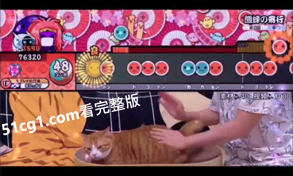 太鼓打猫 图1