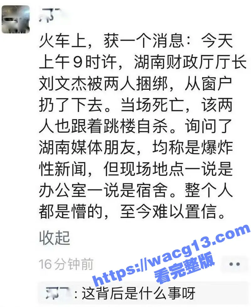 湖南省财政厅 厅长刘文杰 意外去世或涉刑案 知情人称同坠楼者 与其有工作关联 图7