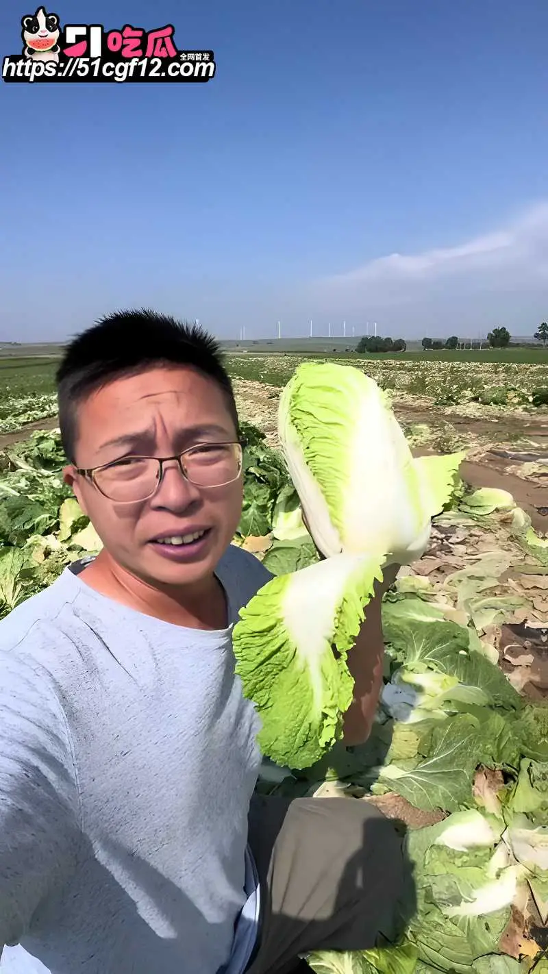 抖音环保博主 渔猎齐哥 曝光河北张家口康保白菜蘸甲醛保鲜全过程 真是无奸不商 图3