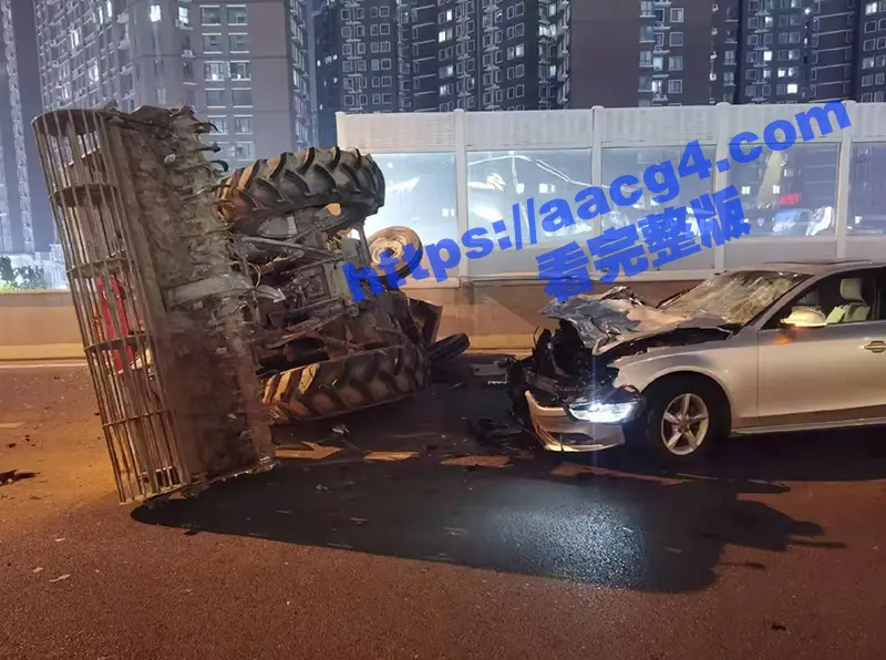 晚风轻拂黑长发 姐开奥迪掀半挂 奥迪姐真容无与伦比的魅力!还在为选择老A8还是新A6烦恼? 奥迪姐给你答案 图11