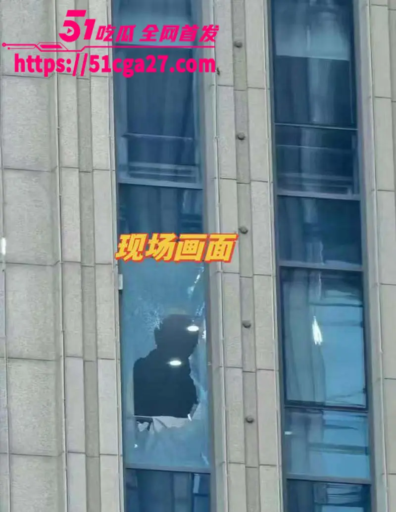 南航机长李煜众捅伤4人后跳楼身亡 考核报告曝光内情 妻子发声被限流 真相究竟是什么？ 图9