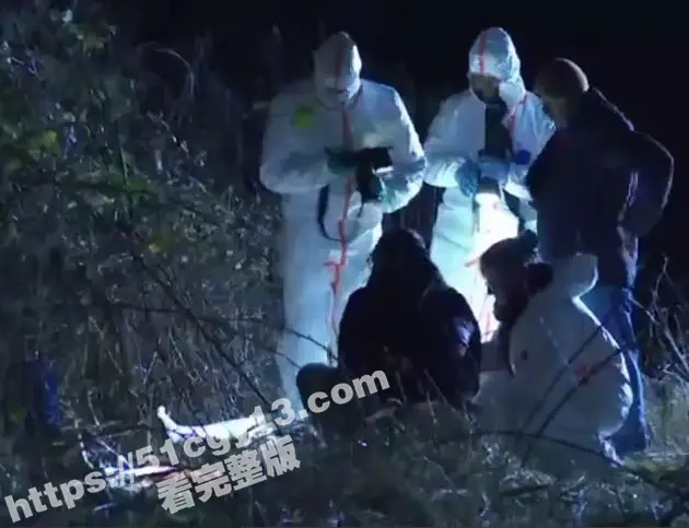 德国警方大乌龙事件!全副武装调查焚尸案近5小时 烧焦女尸竟是硅胶娃娃 谁这么缺德女朋友都不要了? 图1