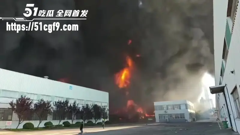 山东青岛黄岛区火灾 物流园物资猛烧 黑烟遮天火光冲天 远处高压线塔清晰可见 图5