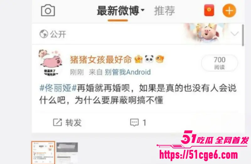 顶流女星 佟丽娅 再婚绯闻爆火 前夫陈思诚介绍神秘高官 国外生子换来泼天富贵! 图16