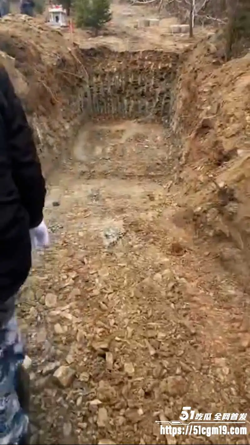 东北一大哥离世竟把百万奔驰S450L直接随葬入土 8888连号豪车被活埋 太壕了! 图5