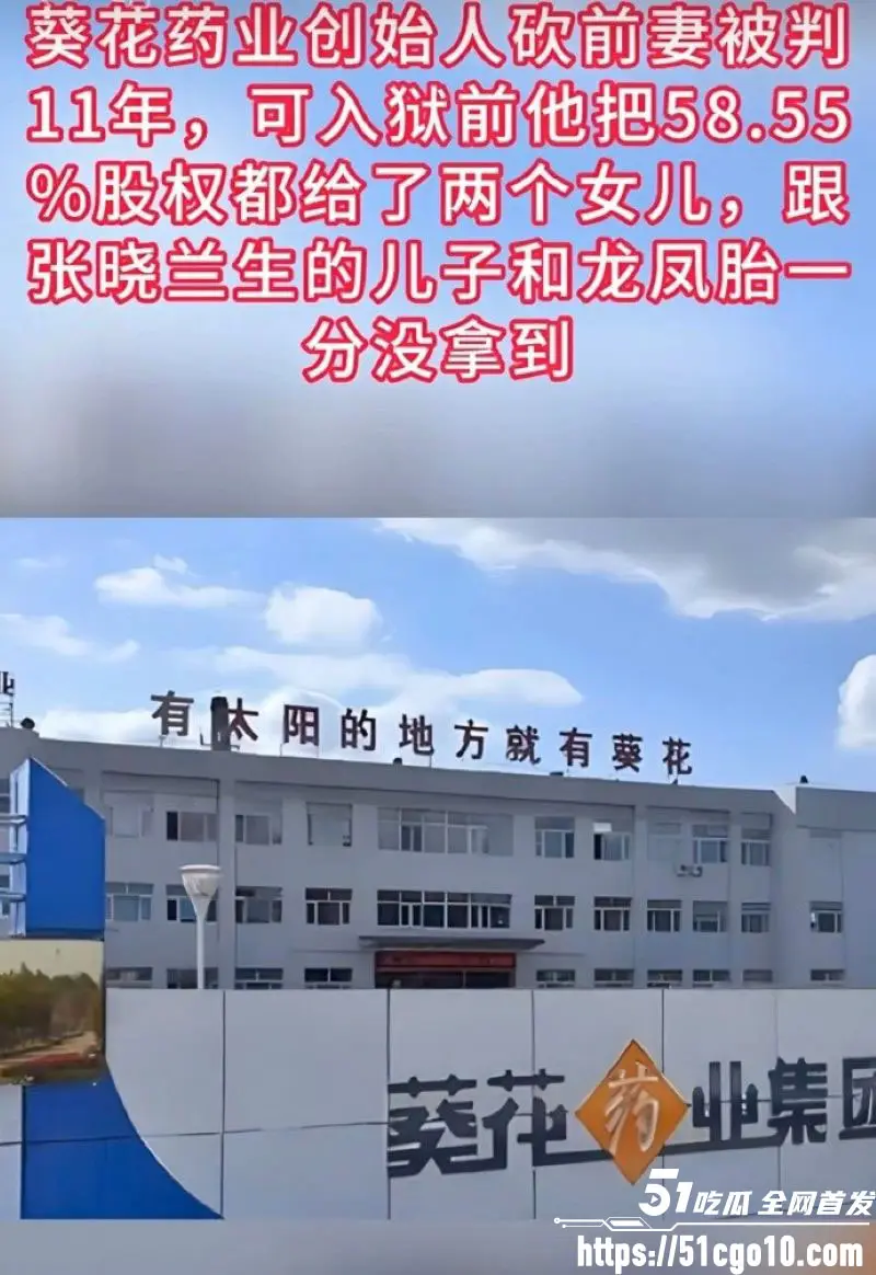 葵花药业 关彦斌 出轨女秘书生龙凤胎 杀妻未遂获刑11年 豪门恩怨分崩离析！ 图6