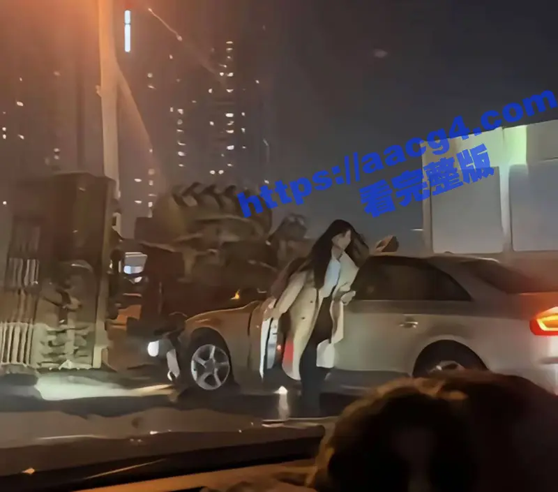 晚风轻拂黑长发 姐开奥迪掀半挂 奥迪姐真容无与伦比的魅力!还在为选择老A8还是新A6烦恼? 奥迪姐给你答案 图9