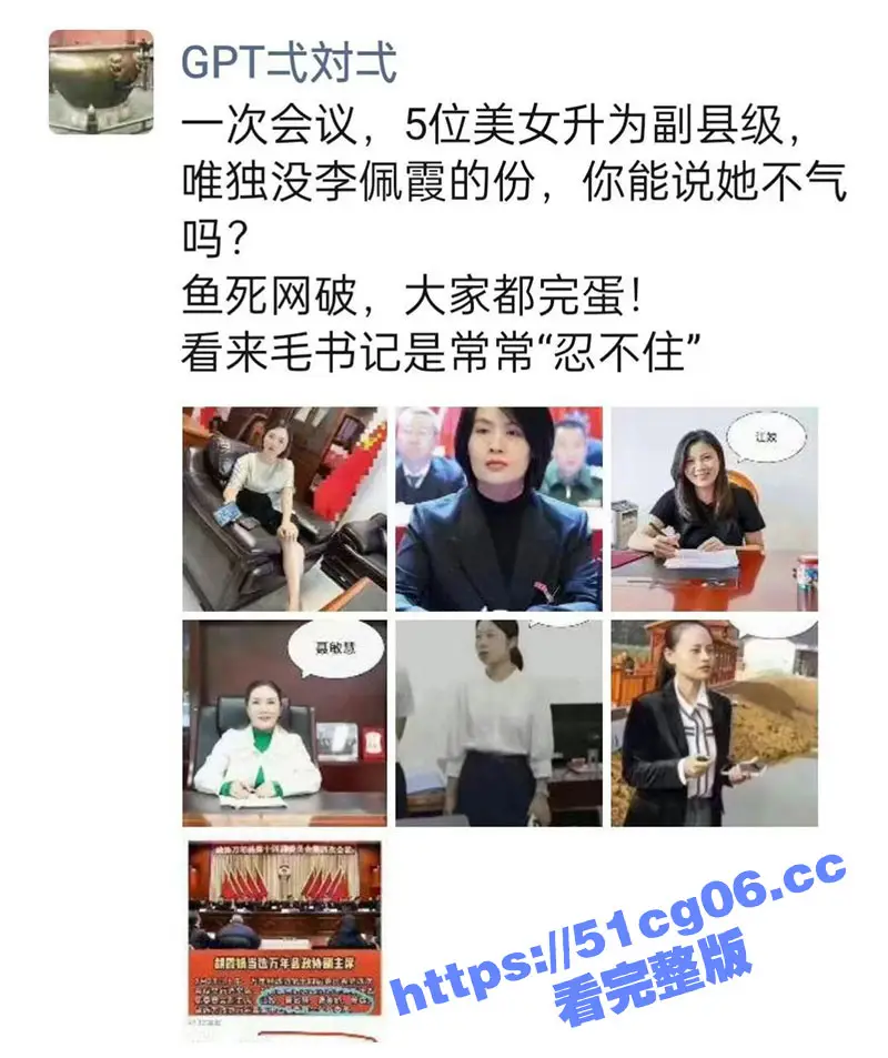 江西县委书记毛奇遭举报性侵 受害美女乡官李佩霞反遭带走留罪证USB「保命」有片 图8