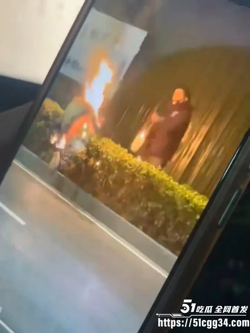 江苏扬州双塘路纵火杀人案 丈夫发现妻子出轨 当场化身国服火男 手持喷壶怒杀奸夫! 图7