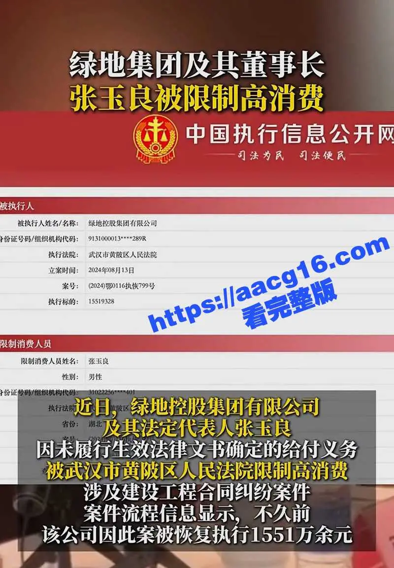 上海绿地集团董事长 总裁张玉良性丑闻 张玉良吸毒 带女秘书去KTV裸嗨!女秘书用嘴帮忙释放压力 不雅视频流出 图7