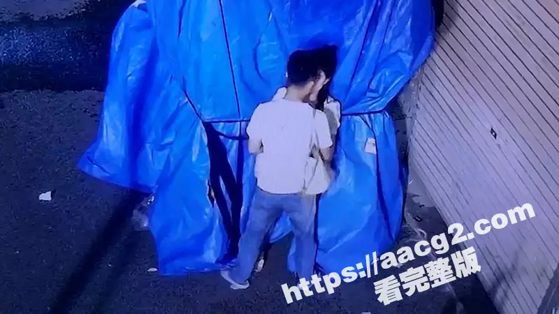 深夜小区惊现情侣野战 在监控底下明目张胆上演春宫戏 大家都是成年人就不能去开个房吗 图1