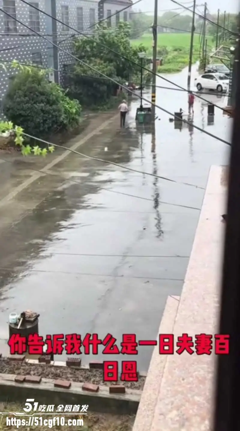 浙江白发老登 雨中持刀企图杀妻 这就是世人口中的爱情? 图6