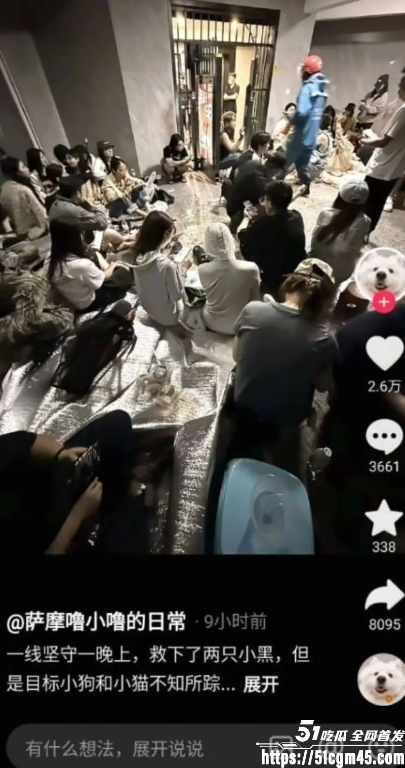 重庆山姆打包哥 李萌 领养小狗残忍虐杀致死 夫妻剪牙断尾骨折抛尸丧心病狂! 图12