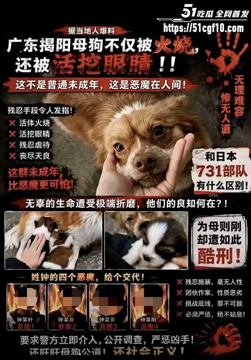 广东揭阳4人虐狗事件 浇油火烧活挖眼睛 天生坏种引发网友震怒! 图1