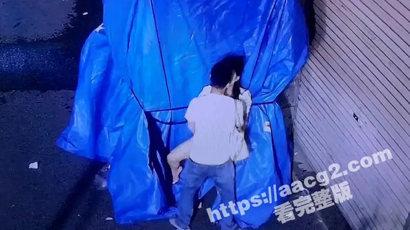 深夜小区惊现情侣野战 在监控底下明目张胆上演春宫戏 大家都是成年人就不能去开个房吗 图3