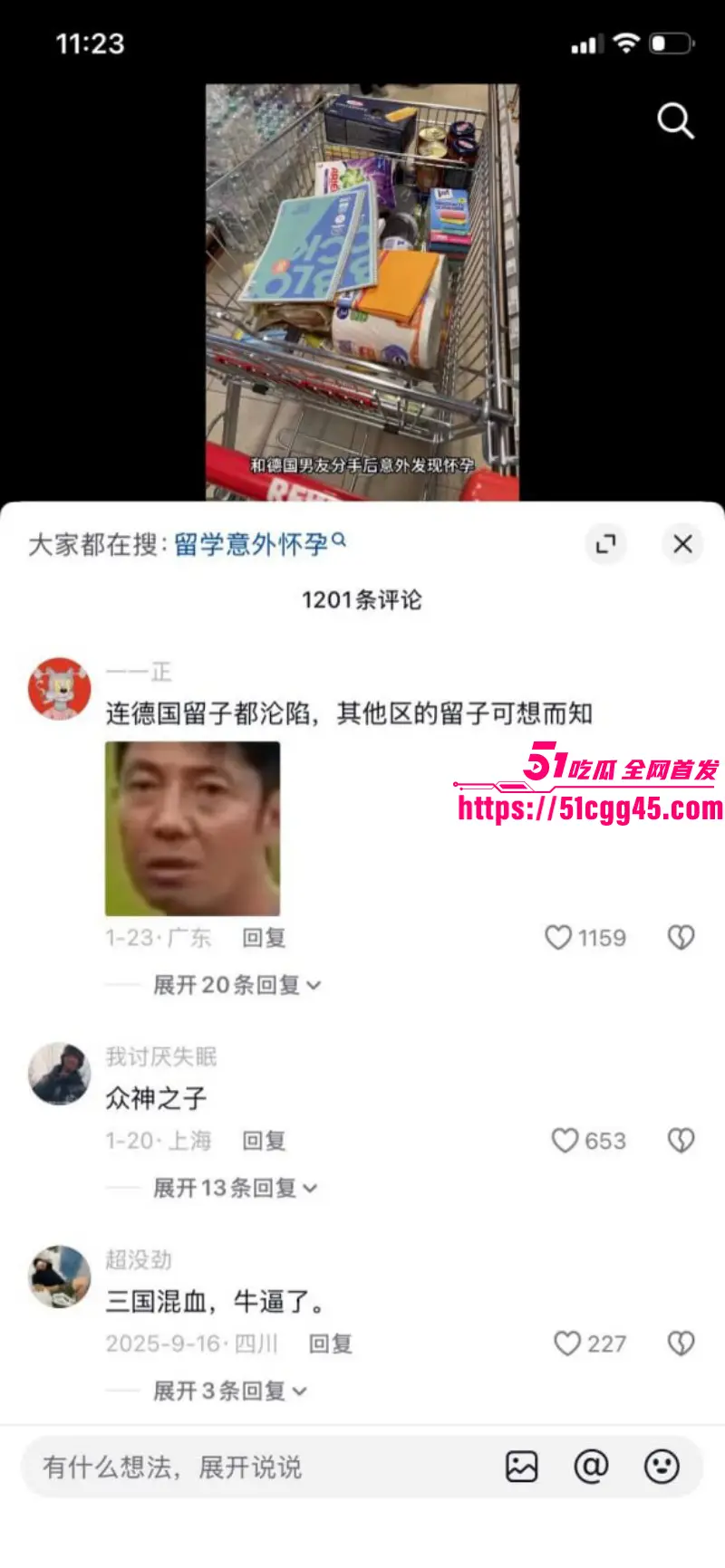 德国留学生亚洲马桶 攀小宝 被老外玩三通一达 操怀孕后回国找接盘侠 被网友扒出3P肛交视频! 图18