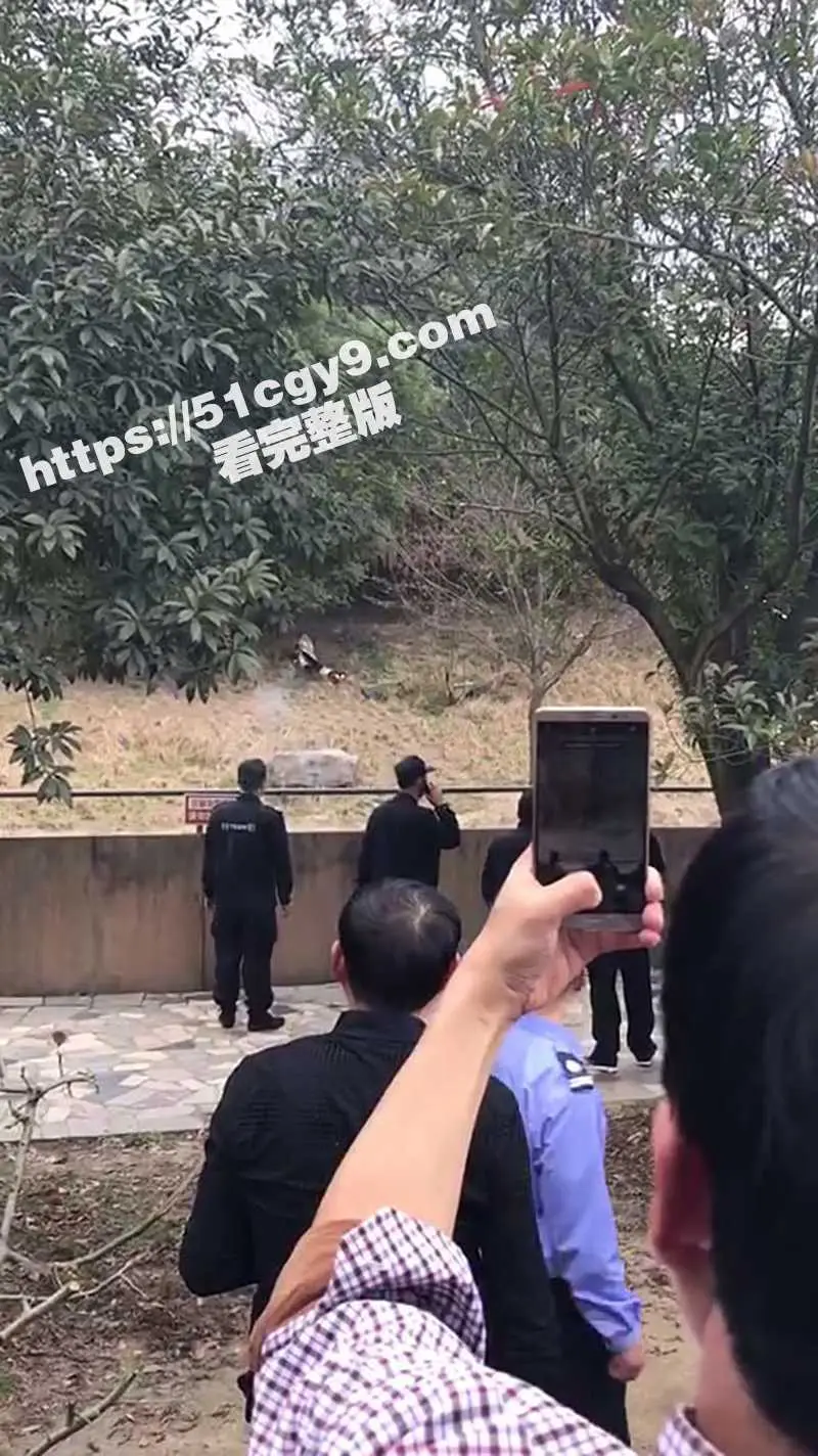 浙江宁波雅戈尔动物园 老虎吃人事件 现场完整高清版视频来袭！ 图1