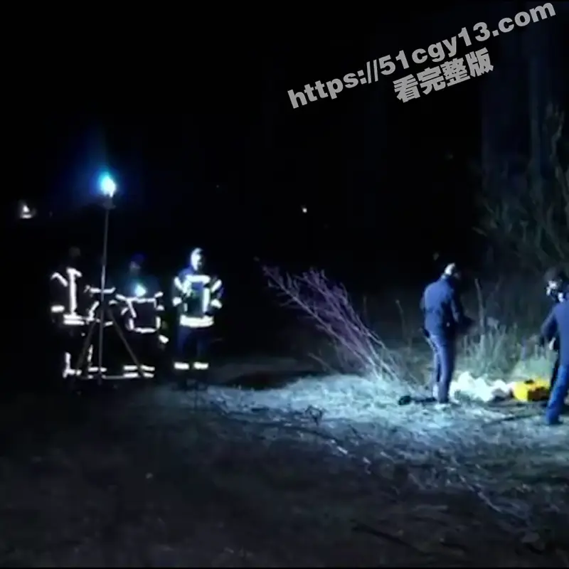德国警方大乌龙事件!全副武装调查焚尸案近5小时 烧焦女尸竟是硅胶娃娃 谁这么缺德女朋友都不要了? 图4