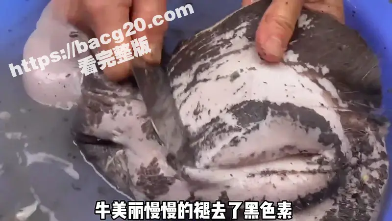 淘宝推出线上新鲜卖牛逼遭到大量疯抢 不会哪个猎奇老哥买来当飞机杯用吧?吹牛逼的见过这还是第一次见啊! 图2