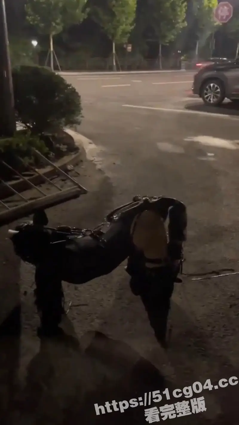 实拍顶级母狗 被主人绑成人型犬 夜晚被主人牵着户外遛狗 母狗身材不错 中国人都玩这么花花了么 图3