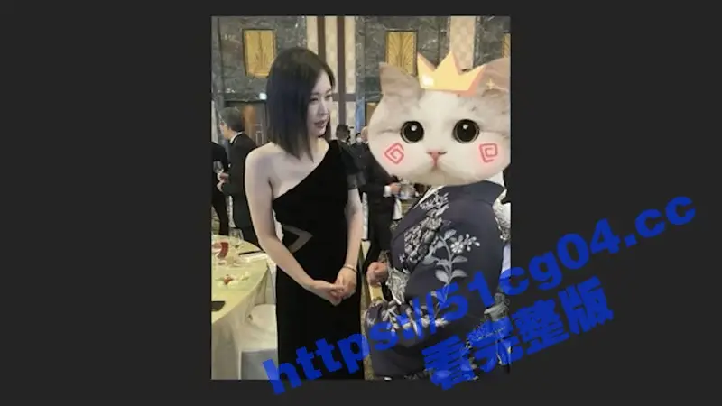 为何 马云 王思聪 等富豪都喜欢移民日本？来听听到底怎么回事！ 图6