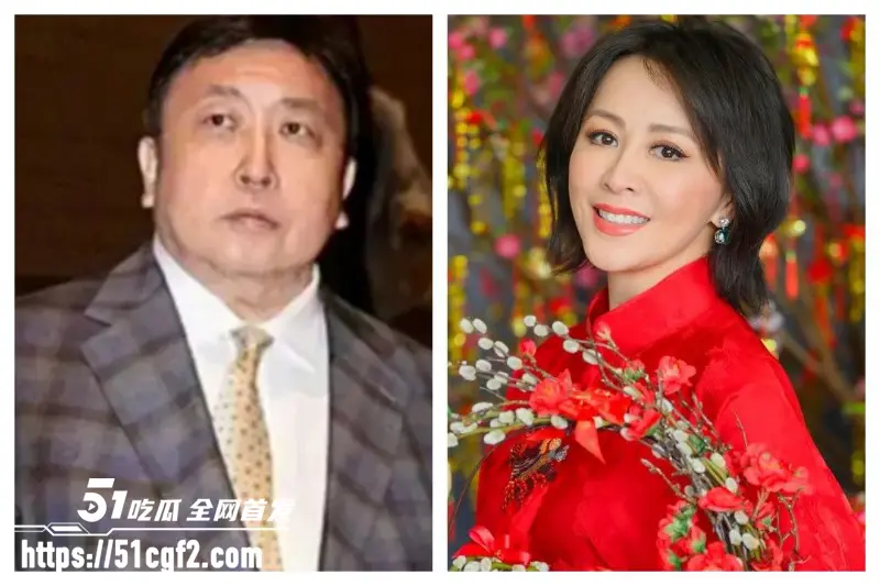 香港明星 陈惠敏重提旧事 绑架黑料重见天日 刘嘉玲竟成港姐替死鬼? 图9