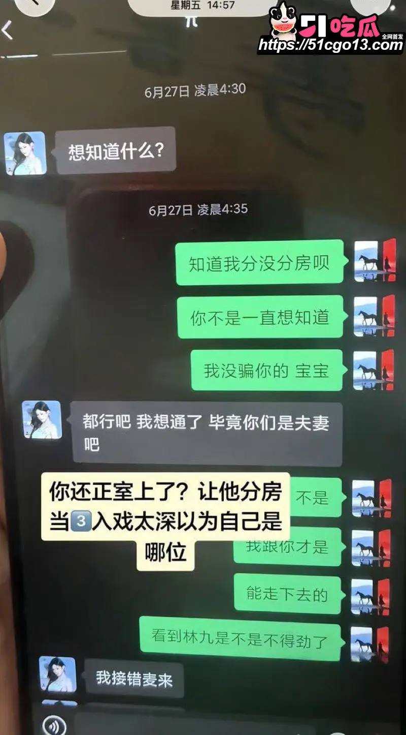 HMC模特 卢金金 被原配实锤知三当三 公务员包养证据疯传 私密视频令人叹为观止! 图16