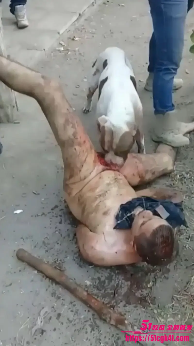 墨西哥猎奇事件!30岁裸男性侵遭黑帮私刑 斗牛犬生吞生殖器 血腥惨叫震天 胆小瓜友慎入! 图1