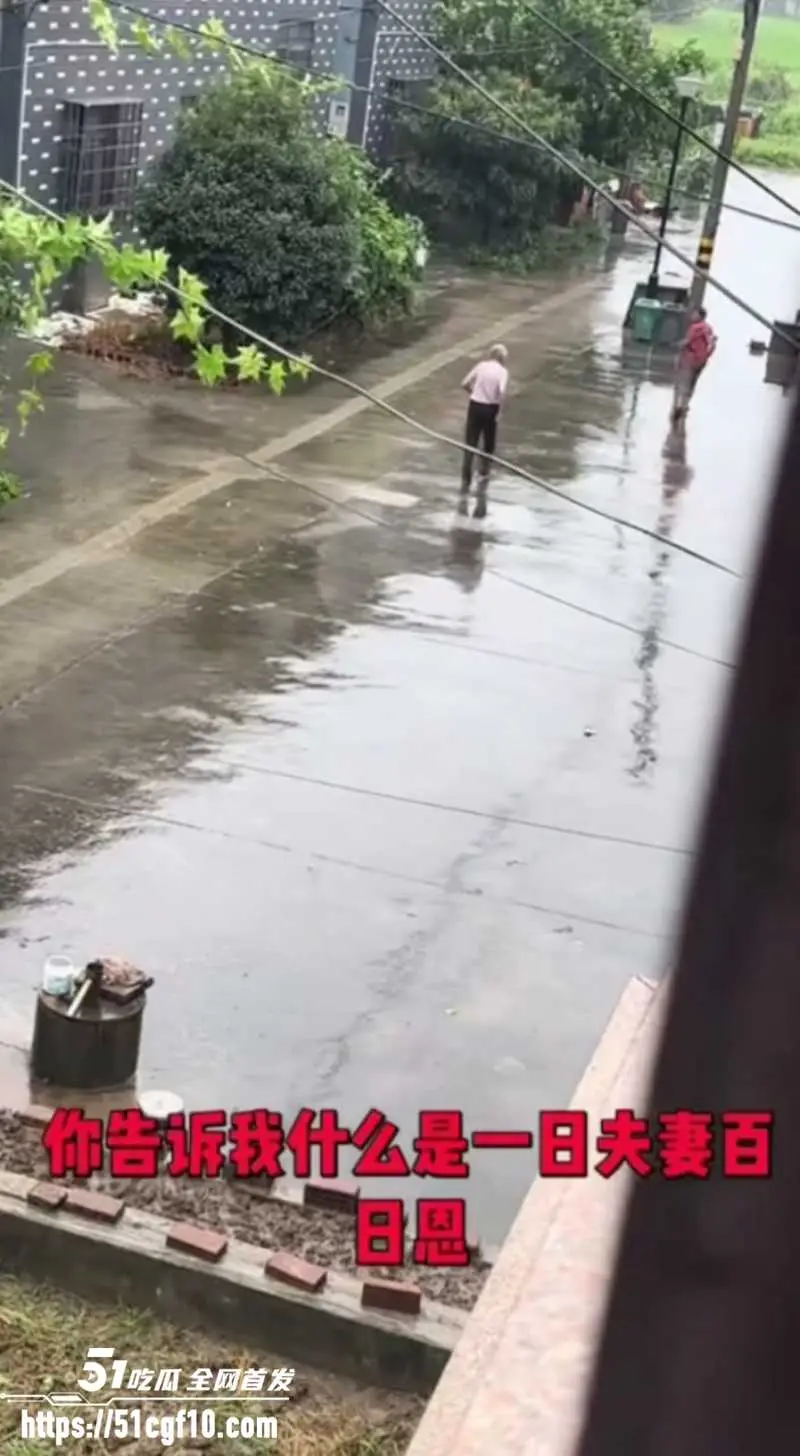 浙江白发老登 雨中持刀企图杀妻 这就是世人口中的爱情? 图5