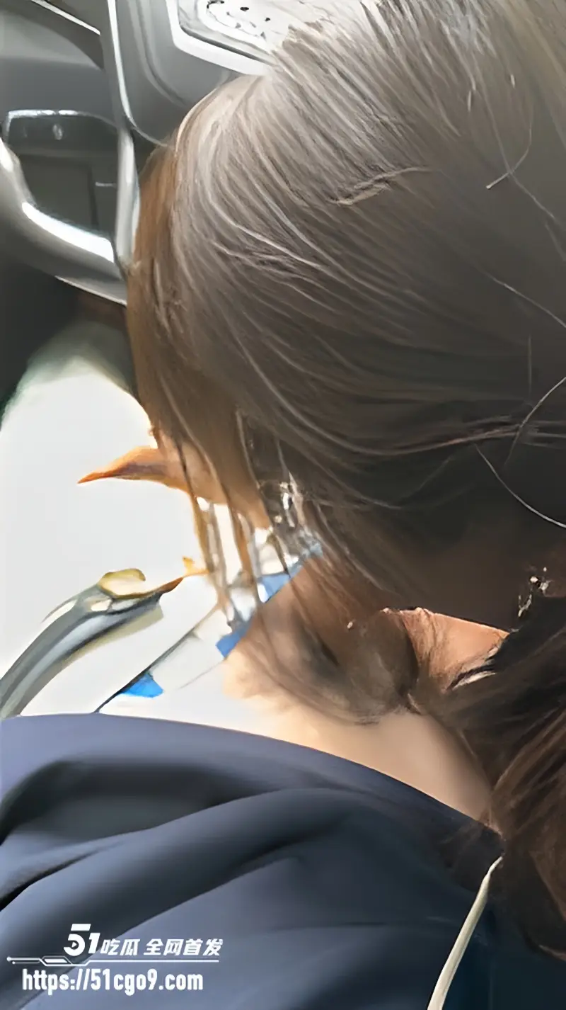 极品嫩妹被奥迪大哥征服 美乳白嫩骚穴紧致 车震口交酒店跪地求虐 彻底沦为母狗！ 图5