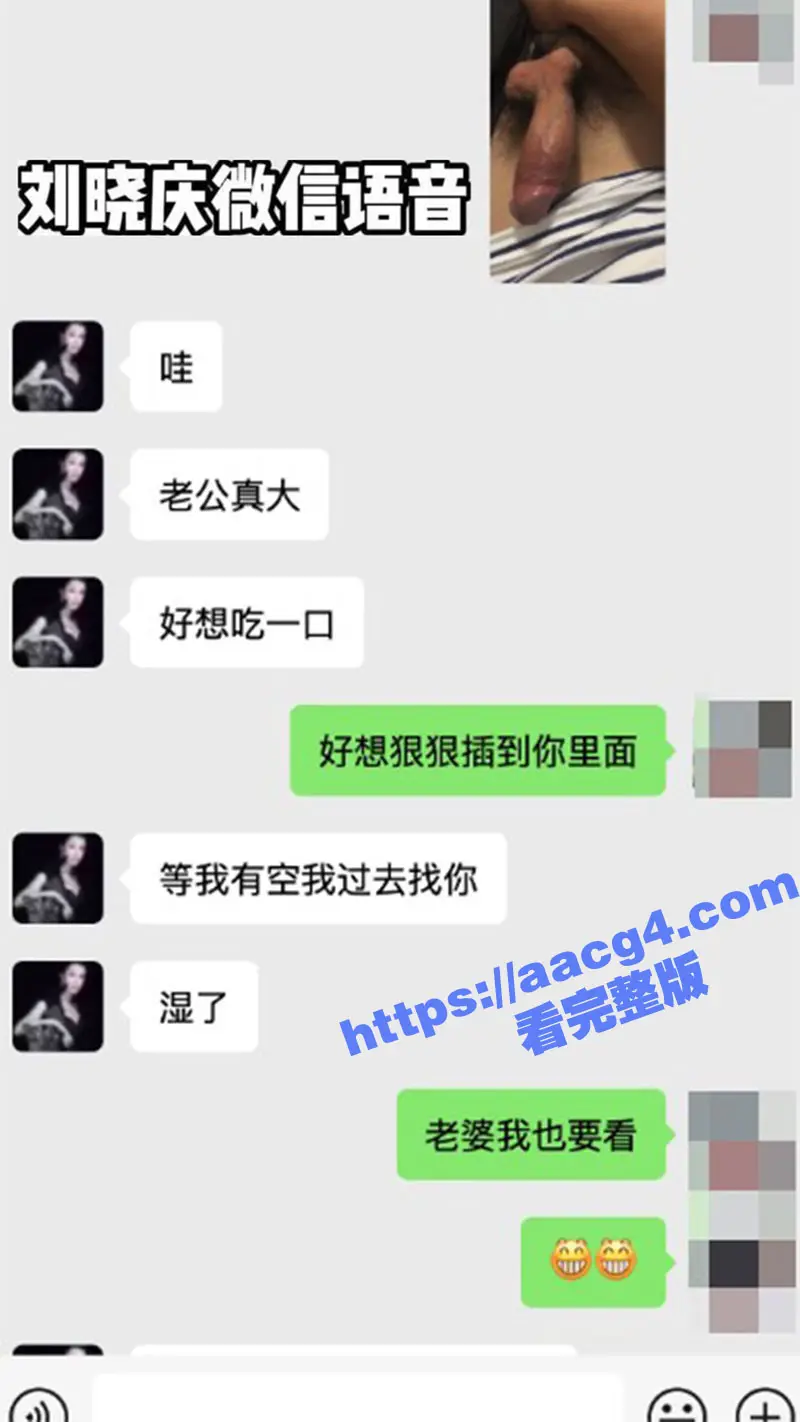 七旬女星刘晓庆被曝陷入忘年恋 直言见面的时候要小奶狗操死她 70岁的女人真疯狂 图23