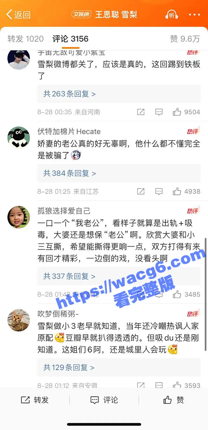 惊天大瓜!王思聪前女友雪梨嗑药被爆光 王思聪其实是双向恋 其私生子闪闪是来掩盖他的不孕不育! 图14