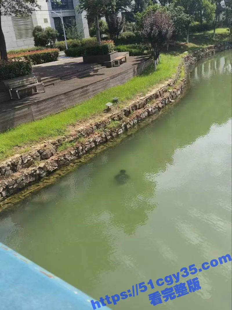 武汉中国地质大学未来城校区惊传溺水悲剧 学生尸体湖中被捞出 校方封锁现场紧急点名！ 图1