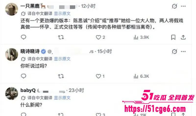 顶流女星 佟丽娅 再婚绯闻爆火 前夫陈思诚介绍神秘高官 国外生子换来泼天富贵! 图18