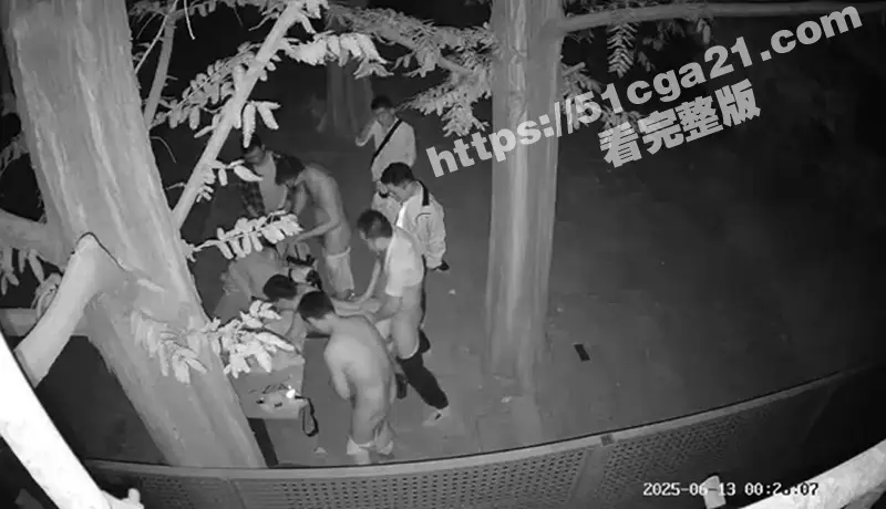 成都百花潭公园 同性恋深夜性派对大曝光 昏暗灯光下多人群P狂欢 果然是一座包容性很强的城市! 图2