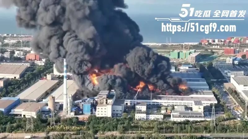 山东青岛黄岛区火灾 物流园物资猛烧 黑烟遮天火光冲天 远处高压线塔清晰可见 图6