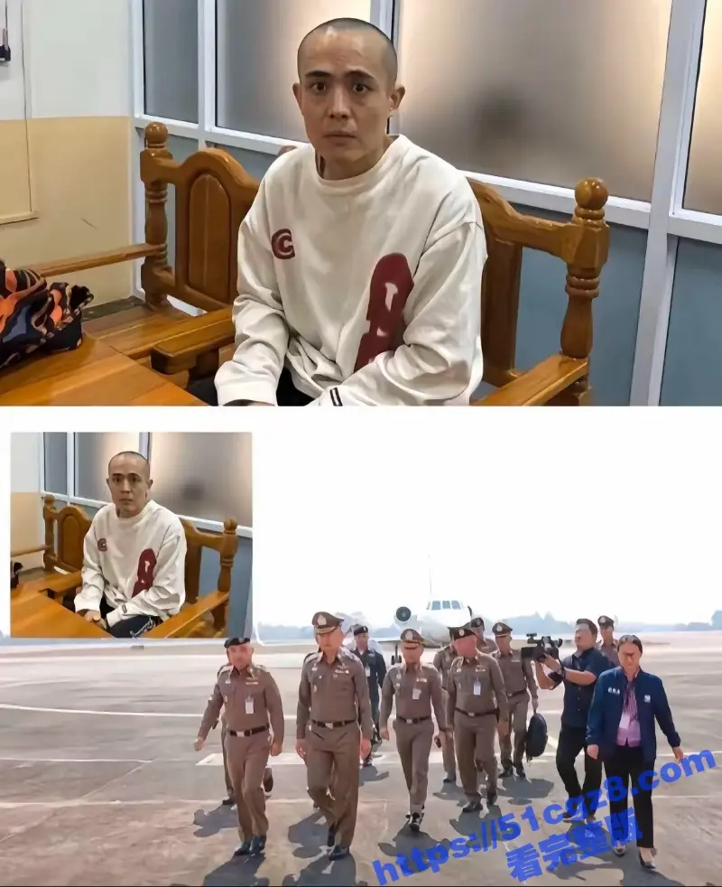 演员王星成功获救暂时不能回国 王星被骗全过程信息流出 牵出人口贩卖内部消息! 图2