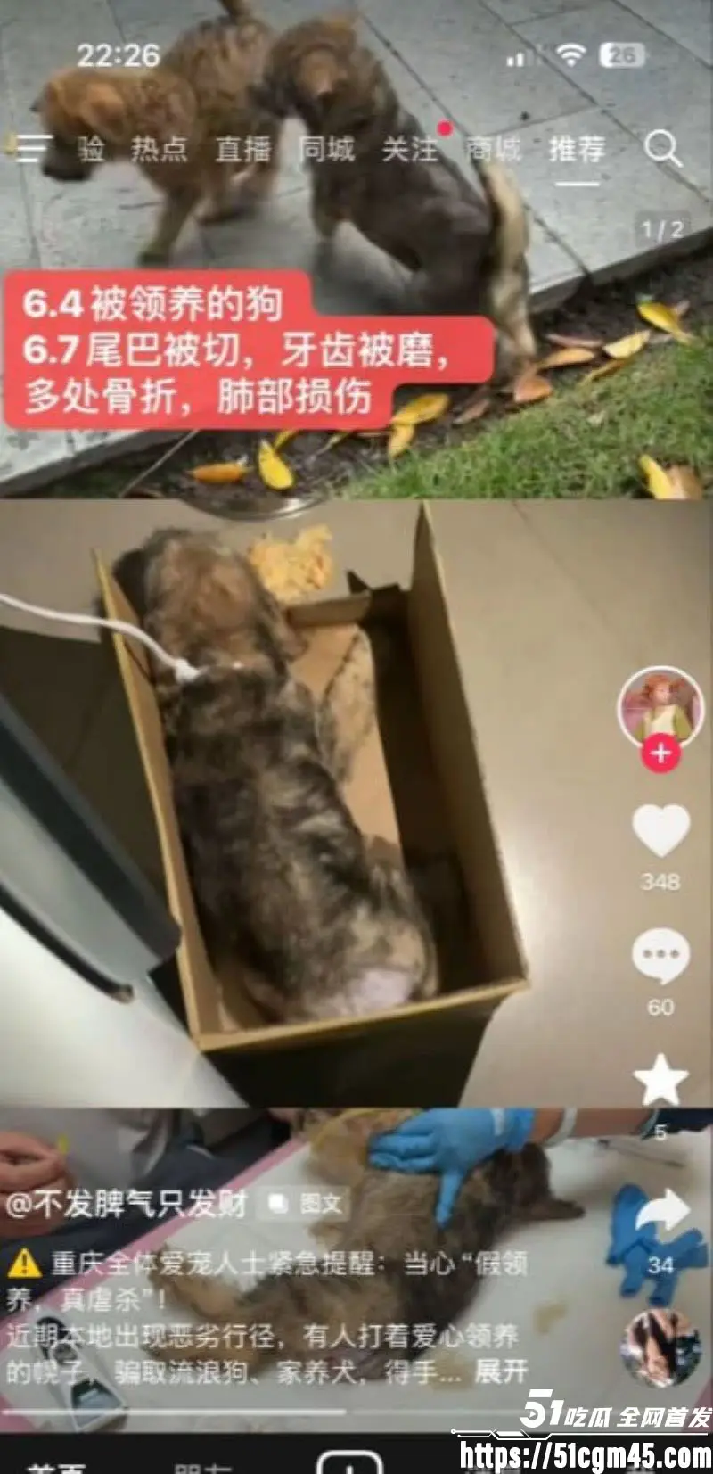 重庆山姆打包哥 李萌 领养小狗残忍虐杀致死 夫妻剪牙断尾骨折抛尸丧心病狂! 图8
