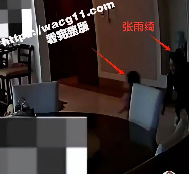 张雨绮又上热搜!被袁巴元前妻葛晓倩怒斥当年小三上位 趁其出差时登堂入室 并把出轨做爱监控视频曝光全网! 图20