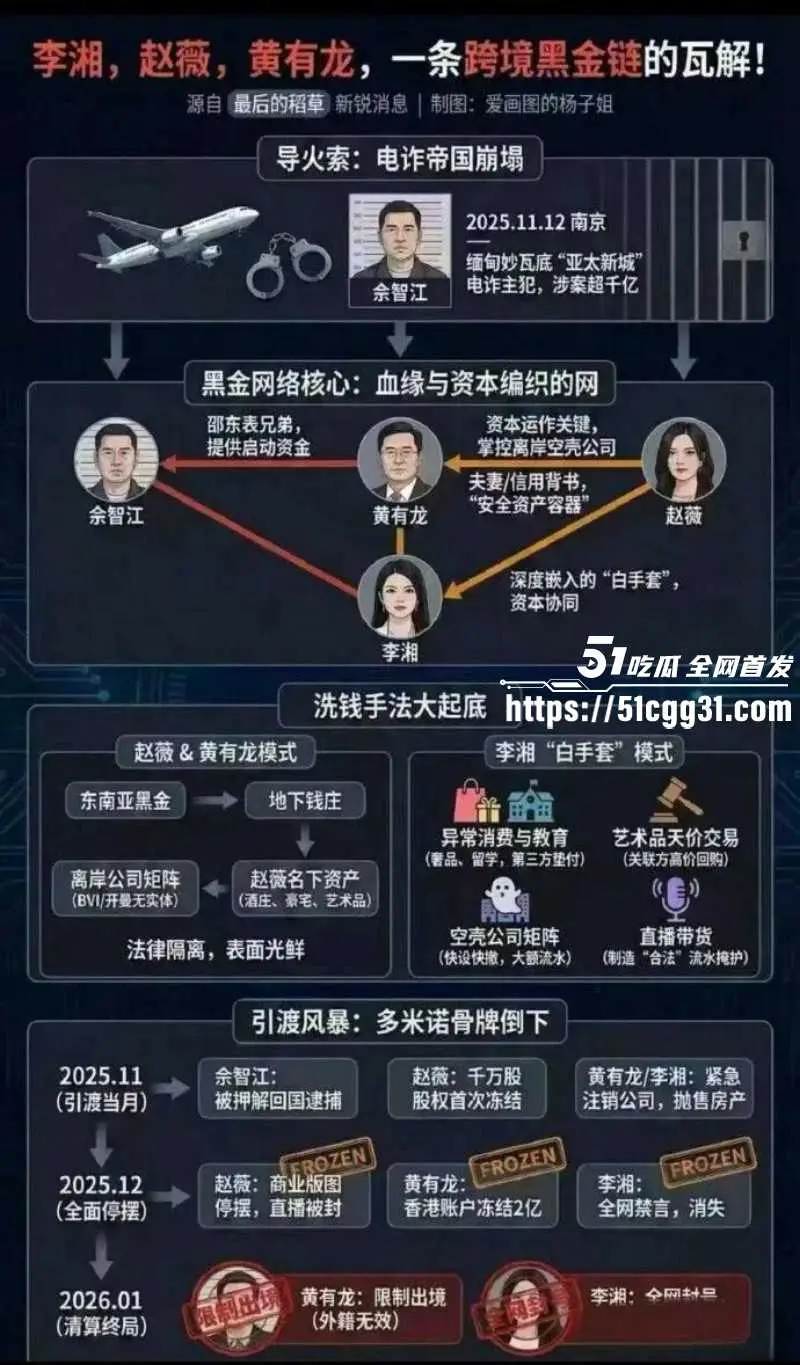 东南亚诈骗园区惊天内幕!赵薇李湘成为洗钱白手套 与电赌大佬深度绑定 助其撑起千亿黑产帝国! 图21