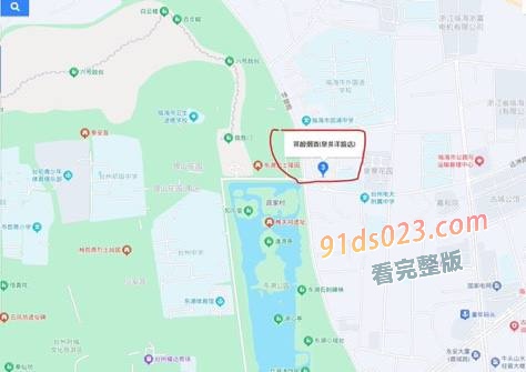 浙江省台州市临海古城附近发生警匪枪战，网传为团伙作案，涉案人员疑从东南亚返回 图4
